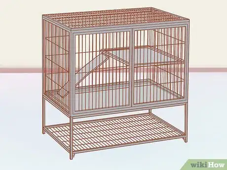 Imagen titulada Neuter Your Guinea Pig Step 13