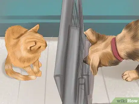 Imagen titulada Make a Cat and Dog Get Along Step 2