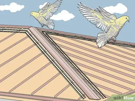 Imagen titulada Keep Birds Off the Roof Step 4