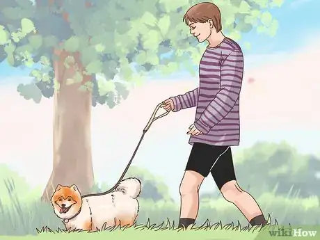 Imagen titulada Make an Outdoor Dog an Indoor Dog As It Ages Step 10