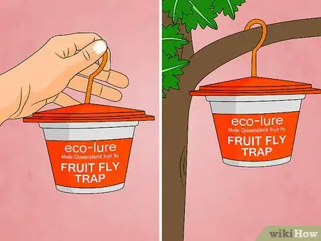 Imagen titulada Get Rid of Fruit Flies Step 26