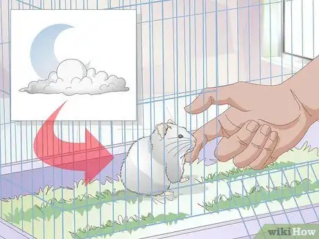 Imagen titulada Get a Hamster to Sleep Step 2