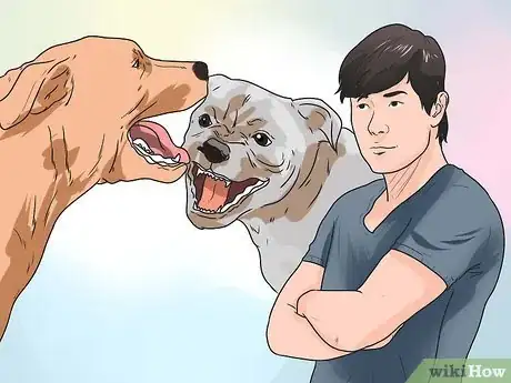 Imagen titulada Break Up a Dog Fight Step 1
