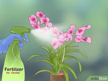 Imagen titulada Grow Vanda Orchids Step 13