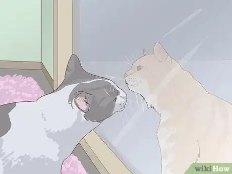 Imagen titulada Introduce a New Cat to Other Cats Step 5