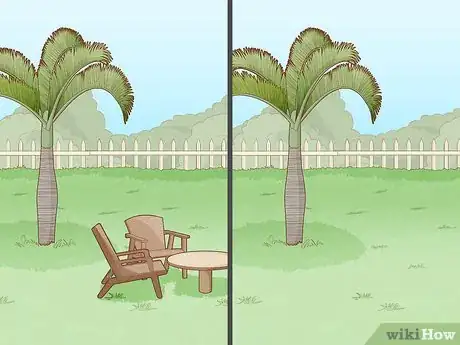 Imagen titulada Remove a Palm Tree Step 18