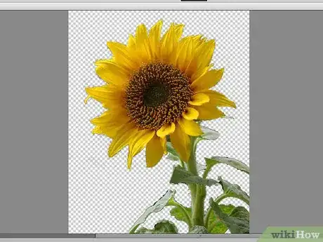 Imagen titulada Remove Background With Photoshop Elements Step 17