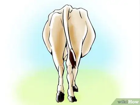 Imagen titulada Artificially Inseminate Cows and Heifers Step 28