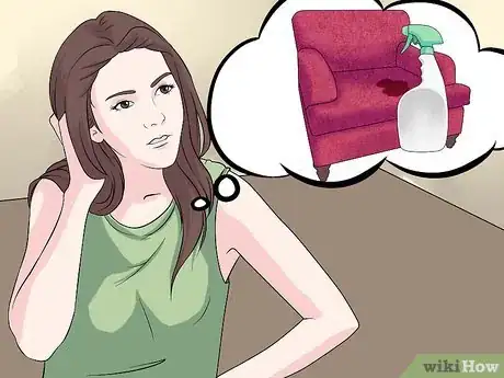 Imagen titulada Remove the Smell of Cat or Dog Urine from Upholstery Step 5