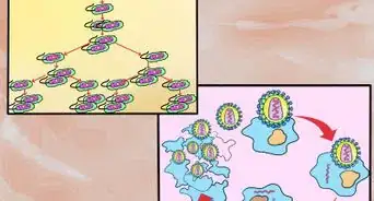 conocer la diferencia entre bacteria y virus