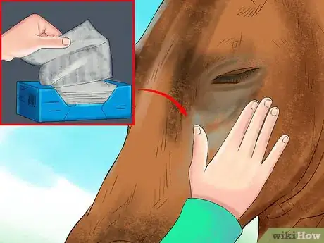 Imagen titulada Make Your Horses' Coat Shine Step 12