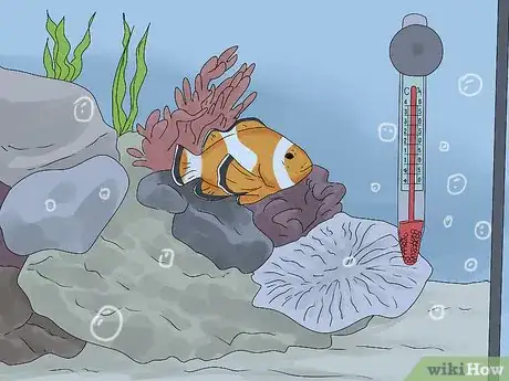 Imagen titulada Tell if Your Fish Is Dead Step 13