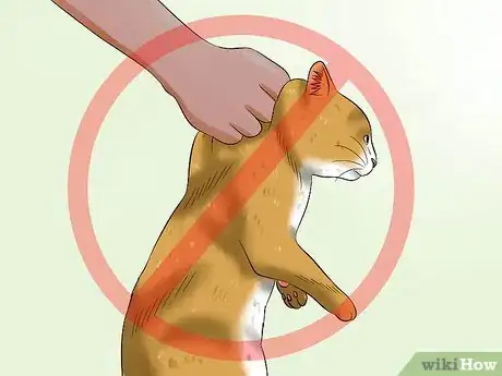 Imagen titulada Train Your Cat to Listen Step 10