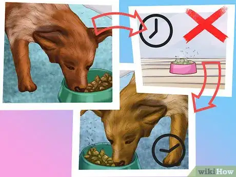 Imagen titulada Choose a Place for Your Dog to Eat Step 12