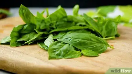 Imagen titulada Store Fresh Basil Step 10