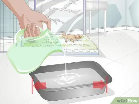 Imagen titulada Teach a Bearded Dragon to Drink from a Water Bowl Step 9