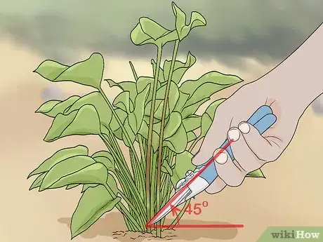 Imagen titulada Prune Philodendron Step 7