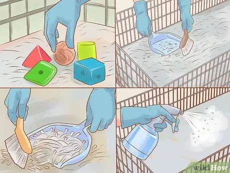 Imagen titulada Care for Dwarf Hamsters Step 5