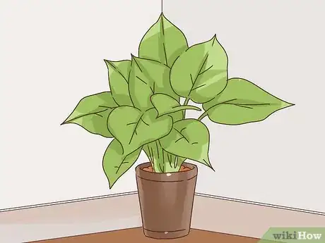 Imagen titulada Choose Plants for Good Feng Shui Step 10