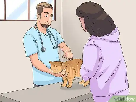 Imagen titulada Treat a Cat with Bloody Diarrhea Step 1