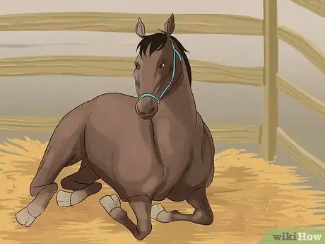 Imagen titulada Treat Lameness in Horses Step 1