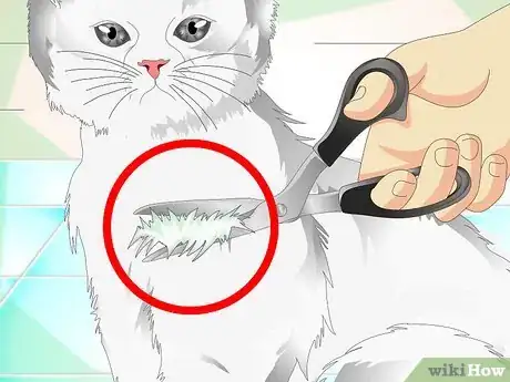 Imagen titulada Clean a Cat's Fur Step 12