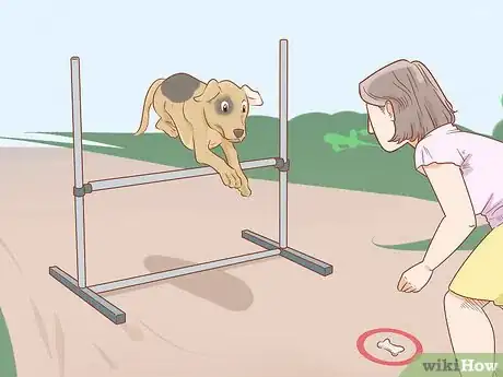Imagen titulada Teach Your Dog to Jump Step 12
