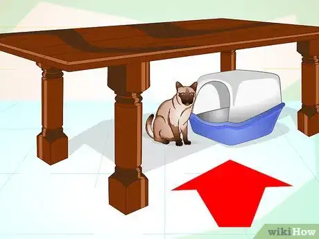 Imagen titulada Maintain Your Kitten's Litter Box Step 9