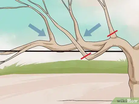 Imagen titulada Prune Vines Step 10