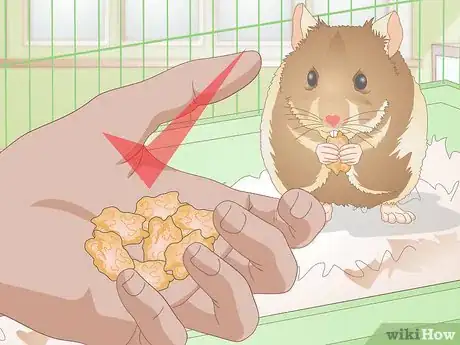 Imagen titulada Make Hamster Chew Sticks Step 16