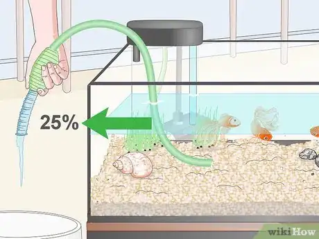 Imagen titulada Clean Fish Tank Rocks Step 11