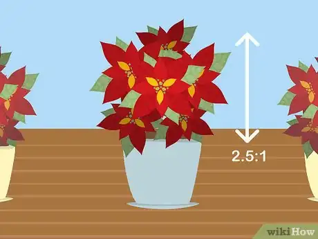 Imagen titulada Care for Poinsettias Step 2