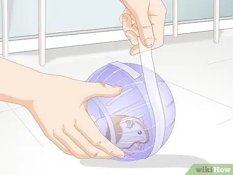 Imagen titulada Use a Hamster Ball Step 14