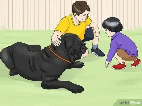 Imagen titulada Identify a Neapolitan Mastiff Step 16