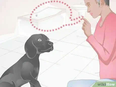 Imagen titulada Groom a Difficult Dog Step 12