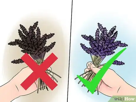 Imagen titulada Make Essential Oils Step 11