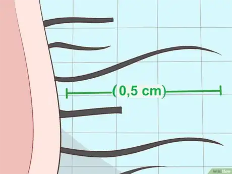 Imagen titulada Remove_Vaginal_Hair_Step_18