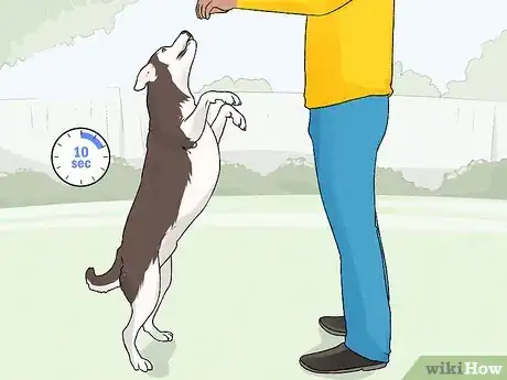 Imagen titulada Teach Your Dog to Dance Step 7