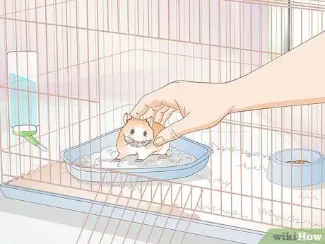 Imagen titulada Potty Train a Hamster Step 10