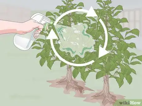 Imagen titulada Make Garlic Garden Spray Step 15