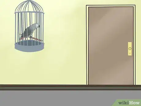 Imagen titulada Socialize an African Grey Parrot Step 1