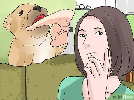 Imagen titulada Stop Your Dog from Biting Other People Step 1