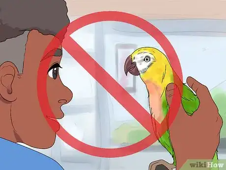 Imagen titulada Care for a Molting Parrot Step 3