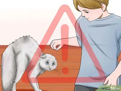 Imagen titulada Identify if Your Cat Has Had a Stroke Step 19