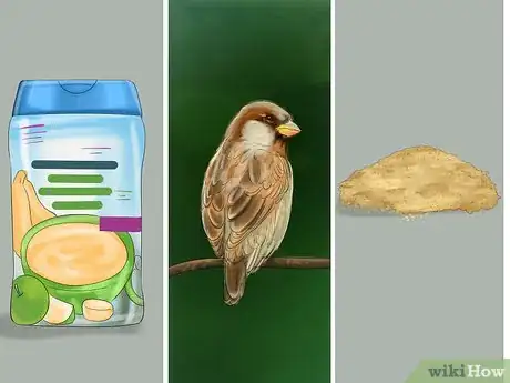 Imagen titulada Make Baby Bird Rescue Food Step 4