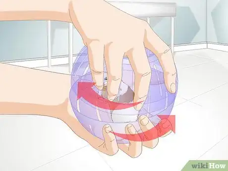 Imagen titulada Use a Hamster Ball Step 13