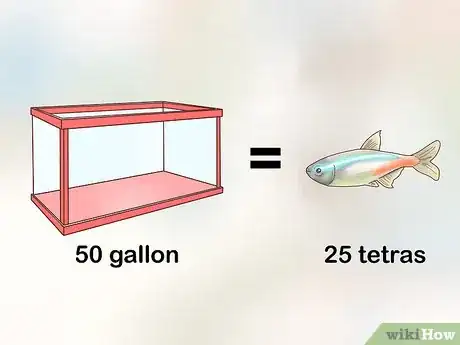 Imagen titulada Breed Neon Tetras Step 13