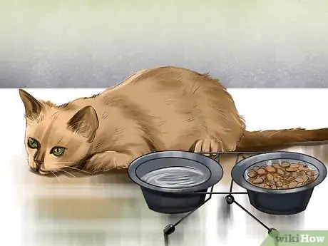 Imagen titulada Tell if a Cat Has a Sore Throat Step 2