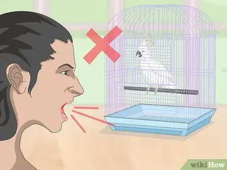 Imagen titulada Deal with an Aggressive Cockatoo Step 3