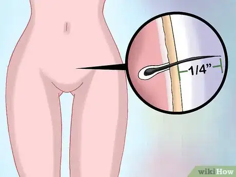 Imagen titulada Wax Your Bikini Area at Home Step 1